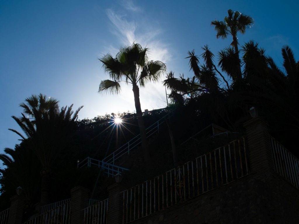Silhouette villa and palm Nerja