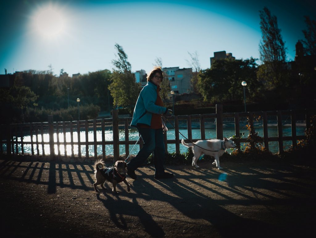 Woman with dogs